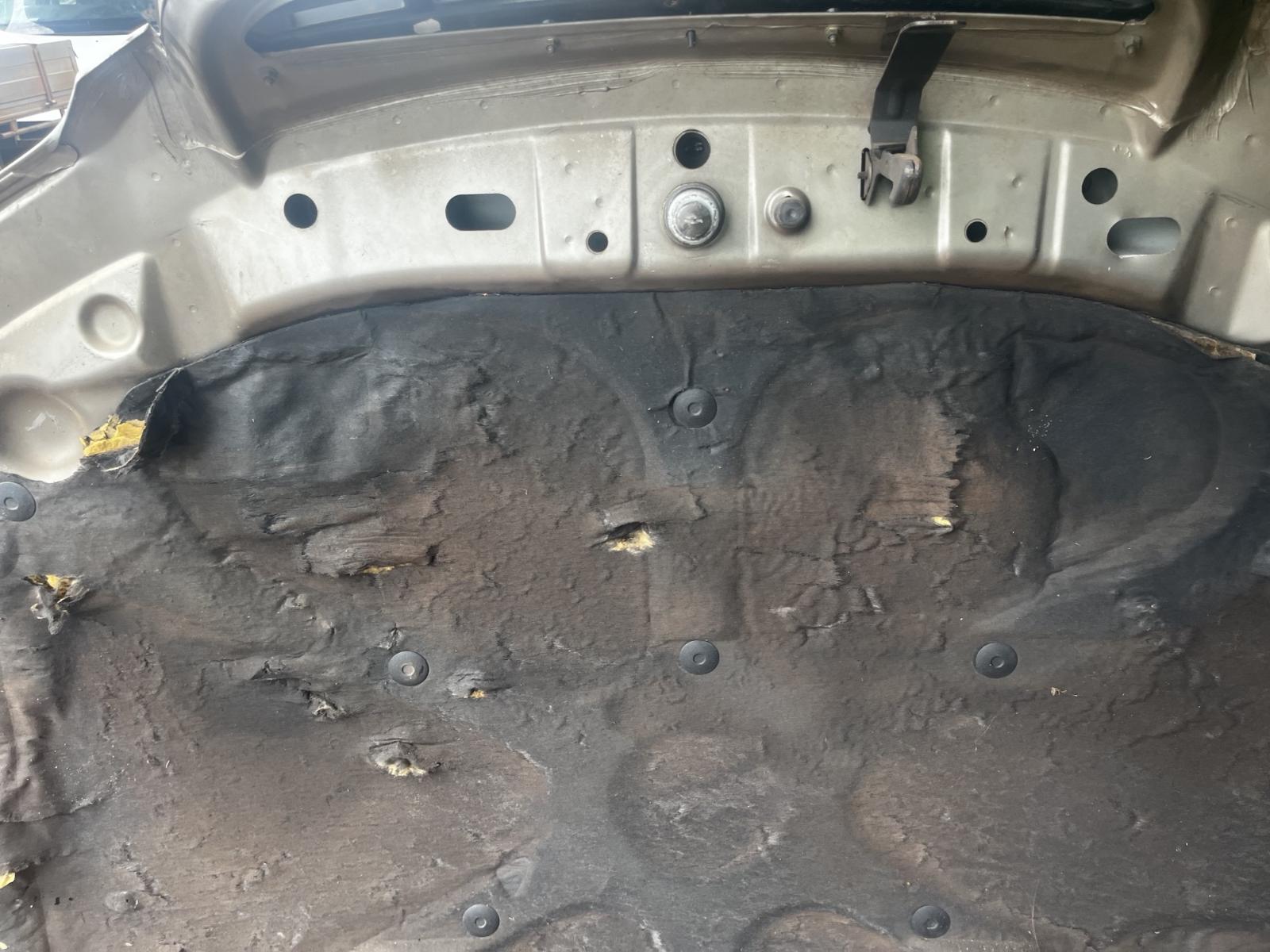 View Auto part Bonnet Holden Statesman/caprice 2002